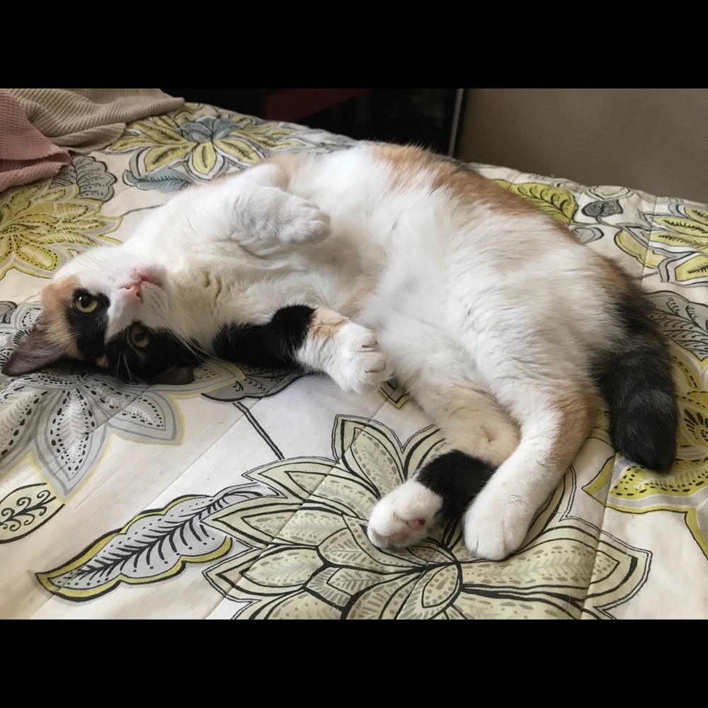 Meet your Posher, Erin